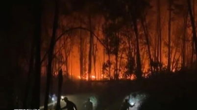 Hue mengerahkan lebih 100 orang untuk memadamkan kebakaran hutan seluas 1.5 hektar.