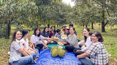Phụ nữ Cà Mau kiến tạo kinh tế xanh