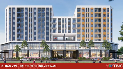 Hà Nội miễn tiền sử dụng đất dự án nhà ở cho thuê