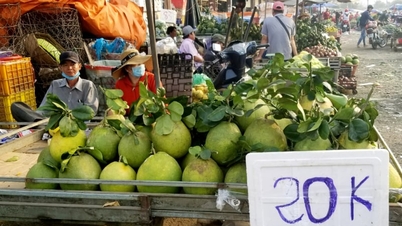 দক্ষিণাঞ্চল জুড়ে ফলের দাম ব্যাপকভাবে কমে যাওয়ায় ডং নাই ও তাই নিন-এর কৃষকেরা বাম্পার ফলন ও কমে যাওয়া আয় নিয়ে উদ্বিগ্ন।