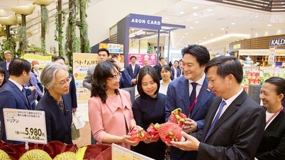 Membawa produk-produk Vietnam ke dalam sistem ritel Jepang dan kawasan sekitarnya: