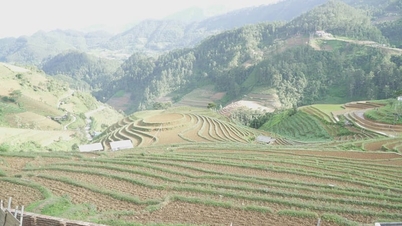 Akibat kekurangan air irigasi, sawah bertingkat paling terkenal di Lao Cai tetap kering dan tandus, menyebabkan para petani khawatir kehilangan wisatawan.