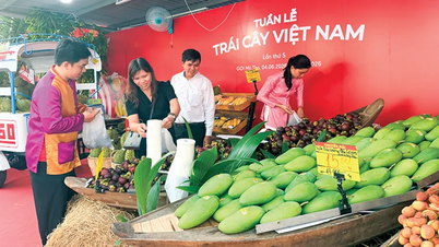 Kết nối thị trường, nâng tầm giá trị nông sản