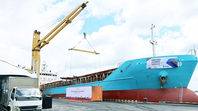 Upaya untuk mengubah Can Tho menjadi pusat layanan logistik internasional.
