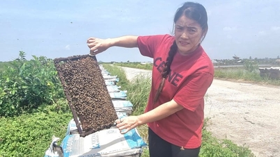 Siguiendo los pasos de la "general femenina al mando de un pequeño ejército" en medio de los manglares de la provincia de Ninh Binh, ¿qué animal es?