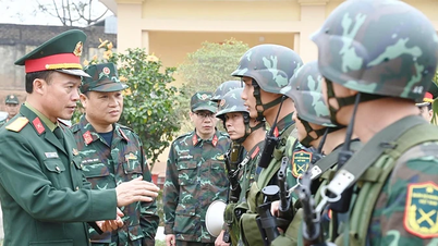 Pelatihan yang sangat baik, disiplin yang ketat di Kompi Pengintai Mekanisasi ke-1.