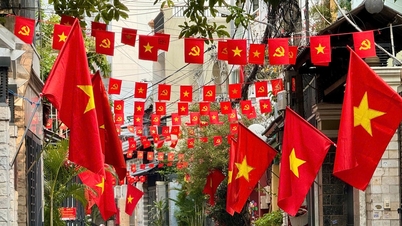 Kota Ho Chi Minh: Manfaat ekonomi dari reorganisasi lingkungan, dusun, desa, dan kawasan permukiman terlihat jelas.