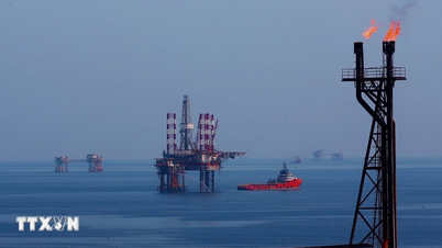 Perusahaan Energi dan Industri Nasional Vietnam mengadopsi prinsip-prinsip manajemen risiko OECD.