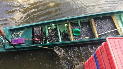 Pemerintah Kota Ho Chi Minh telah memerintahkan penghapusan tempat-tempat perdagangan ilegal burung dan ikan yang dilepaskan ke alam liar di depan bangunan keagamaan.