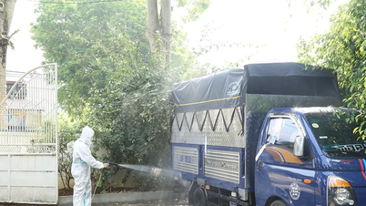 Memperkuat pengelolaan kegiatan transportasi hewan.