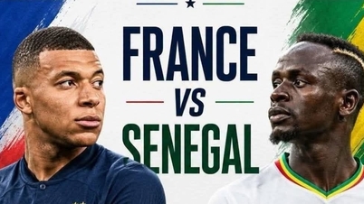 Pronóstico de fútbol Francia vs Senegal: Una selección valorada en más de 1.500 millones de euros deja su huella.