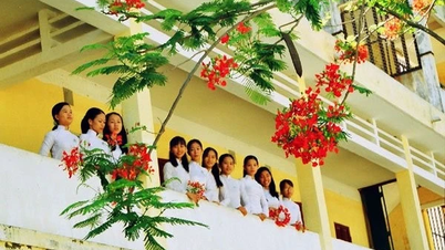 Musings: The season of flamboyant trees is long gone.