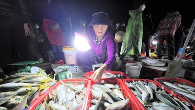 A transformação digital está a gerar avanços significativos na gestão da pesca.