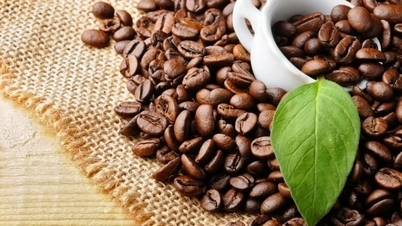 Precios del café hoy, 16 de junio de 2026: Continúa la tendencia alcista.