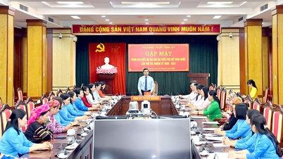 Komite Tetap Komite Partai Provinsi bertemu dengan delegasi yang menghadiri Kongres Nasional ke-14 Persatuan Wanita Vietnam.