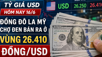 Tỷ giá USD hôm nay 16/6: Đồng Đô la Mỹ chợ đen bán ra ở vùng 26.410 đồng/USD