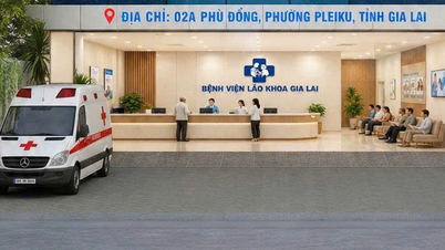 Berinvestasi dalam rumah sakit khusus untuk lansia di Gia Lai.