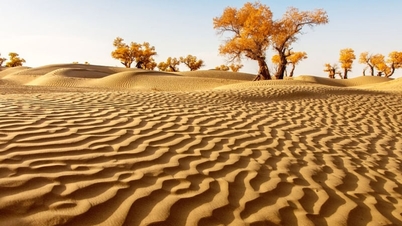 China warns of risk of extreme flooding in desert regions.