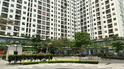 Hà Nội “trải thảm” cho nhà ở cho thuê: Miễn tiền đất, hỗ trợ giảm giá thuê