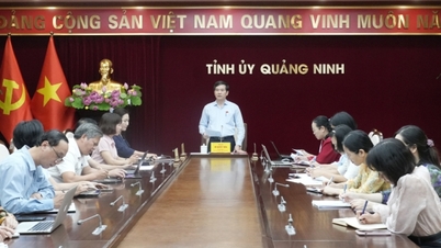 Quyết tâm hoàn thành sớm việc biên soạn, xuất bản cuốn sách Lịch sử Đảng bộ tỉnh Quảng Ninh, tập V (2005-2025)