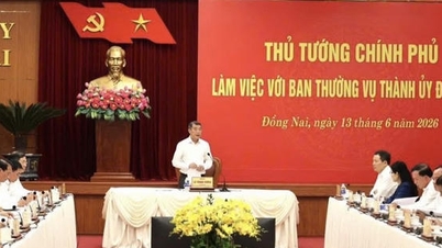 Dong Nai faces a series of strategic tasks following the Prime Minister's conclusions.