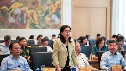 문화체육관광부는 법률 체계를 검토하고 개선하는 데 중점을 두어 왔습니다.
