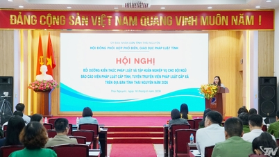 Memberikan pelatihan pengetahuan hukum kepada lebih dari 3.000 wartawan dan propagandis.