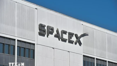 SpaceX-aktierna vände kurs och föll kraftigt under handeln den 18 juni.