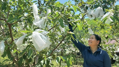 « La canne à pêche » des femmes entrepreneures.
