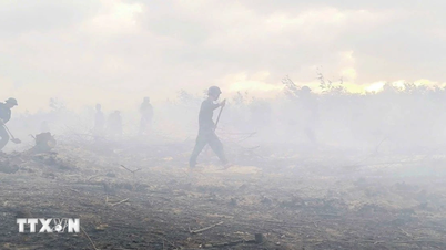 Wilayah Quang Tri telah mengalami beberapa siri kebakaran hutan di komune Hieu Giang.