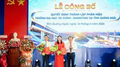 In Quang Ngai gibt es einen neuen Zweigcampus der Universität für Finanzen und Marketing.