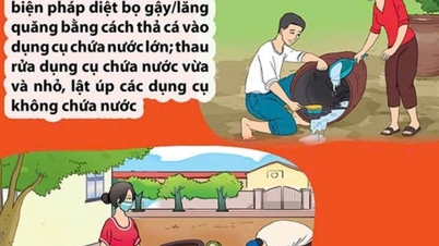 Horečka dengue: příznaky, příčiny a prevence.