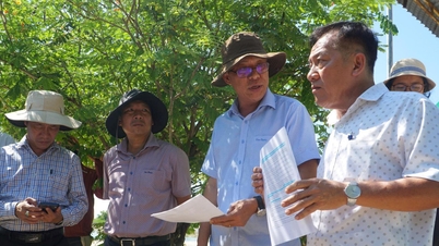 Phê bình Giám đốc BQL dự án khu vực Tuy Phong và Chủ tịch UBND xã Vĩnh Hảo vì triển khai dự án chậm