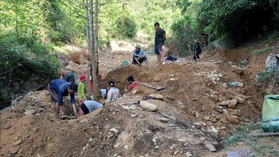 Impian Emas dan Air Mata Hutan Perlindungan Yen Na - Bahagian Akhir: Keperluan untuk Konfrontasi yang Jujur dan Tindakan Tegas untuk Mencegahnya