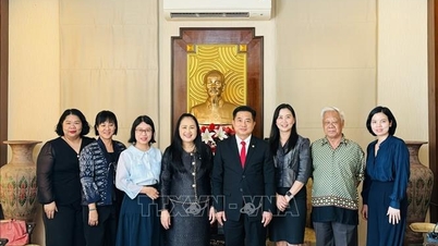 Thúc đẩy hợp tác giáo dục và giao lưu văn hóa Việt Nam - Thái Lan