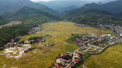 Muong Tac field, Phu Yen commune (Son La province)