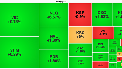 VN-Index surpasses 1,800 points, real estate stocks become the driving force behind the price increase.