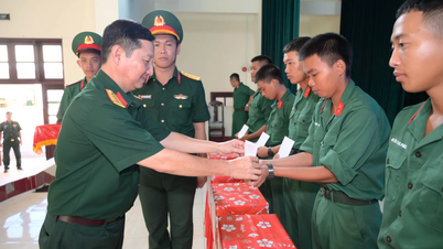 Pemerintah Tentera Wilayah An Giang melancarkan kempen sukarelawan musim panas.
