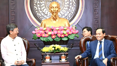 TPHCM đẩy mạnh hợp tác với các đối tác của Ấn Độ, Nga