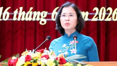 Penyesuaian Rencana Tata Ruang Provinsi Quang Ninh dengan visi hingga tahun 2050