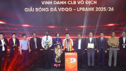 Penghargaan V-League 2026: Tonggak sejarah 25 tahun dan aspirasi untuk mengangkat sepak bola profesional Vietnam.