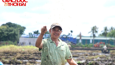 Cha gửi tuổi trẻ xuống ruộng, con mang tri thức bước ra đời
