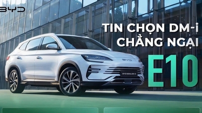 Nu E10-benzine steeds populairder wordt, wat geeft BYD-auto's dan zoveel zelfvertrouwen?