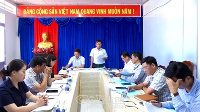 Inspeksi terhadap urusan etnis, kepercayaan, dan agama di komune Khanh Lam.