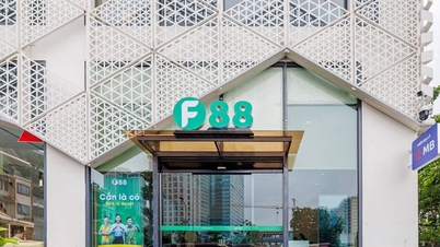 F88 doubles its charter capital, accelerates profit growth, and expands its growth potential.