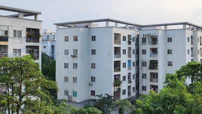 Nhà ở cho thuê: Kiến tạo để đột phá