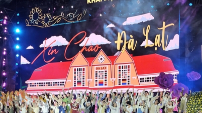 Festival Bunga Da Lat 2026: Keindahan bunga berpadu dengan musik dan teknologi.
