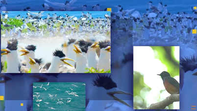 Vietnam Wild Live meningkatkan kesadaran tentang sumber daya alam Vietnam yang berharga.