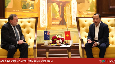 Việt Nam - Australia tăng cường hợp tác nghiên cứu, thúc đẩy thương mại hóa công nghệ