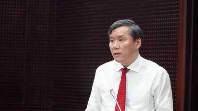 Sugerencias para la política de desarrollo humano de Vietnam basadas en la experiencia de Da Nang.